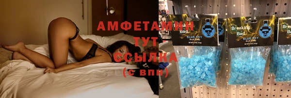гидра Аркадак