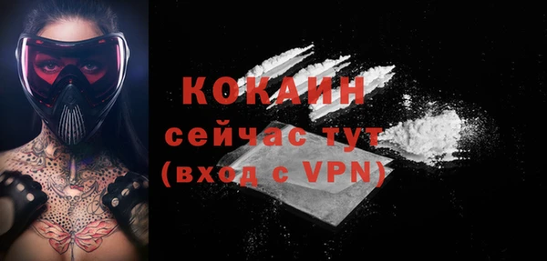 гидра Аркадак