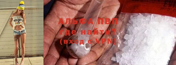 гидра Аркадак