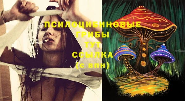 гидра Аркадак