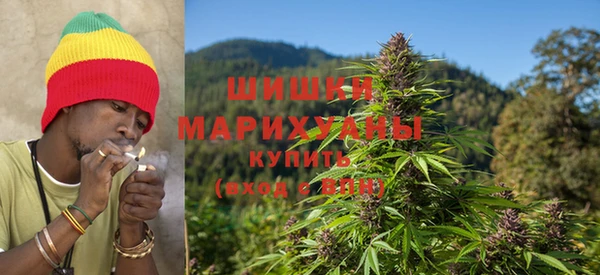 гидра Аркадак
