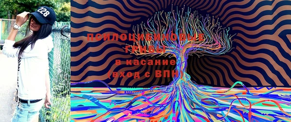гидра Аркадак