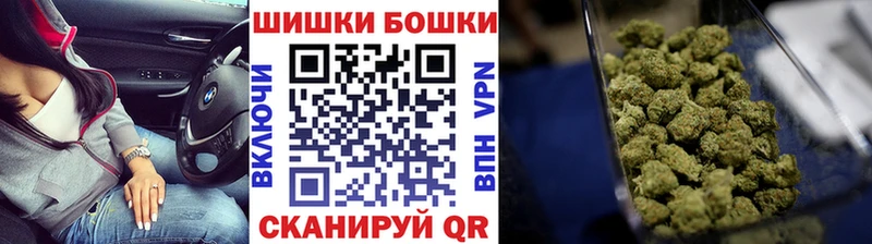 Бошки марихуана сатива  Славск 